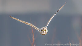 A27O3414-1.jpg