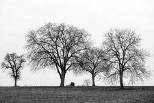 IMG_1261.jpg