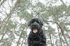 _DSC3384_DxO.jpg