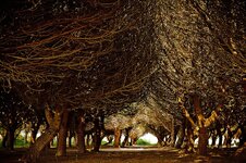 DSLR_LR- 6916_b3-.jpg