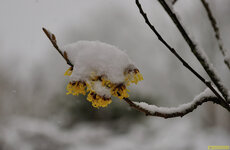 DSC_3964_web.jpg