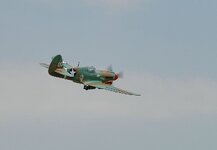 DSC_3446.JPG