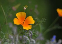 DSC_4830.jpg