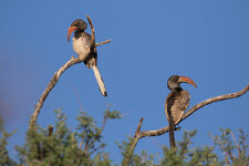 20160214_072820_namibia-2.jpg