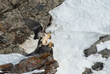 comp_DSC_1448.jpg