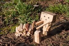Danbo beim Holzhacken1200x.jpg