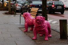 EOS 7D Mark II0508.jpg