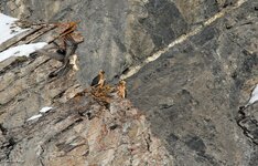 comp_DSC_1625.jpg