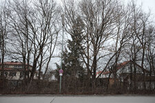 DSCF7540-2.jpg