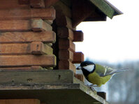 IMG_8831-001.JPG