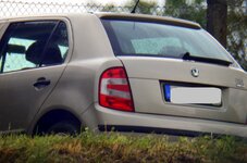 DSC_0213.JPG