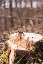 Holzfäller Danbo.jpg