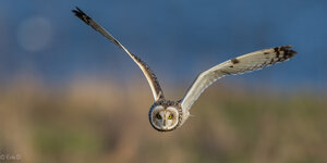 _DX_3534-1.jpg