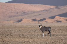 20160210_181043_namibia-2.jpg