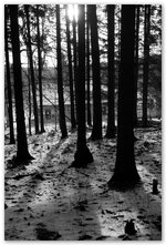 Harz-Clausthal4_2016.jpg Harz-Clausthal4_2016.jpg