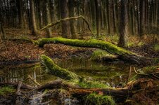 DSC5830.jpg DSC5830.jpg