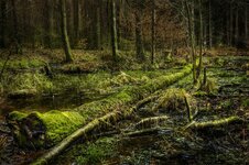 DSC5833.jpg DSC5833.jpg