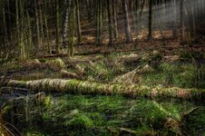 DSC5842.jpg DSC5842.jpg