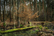 DSC5845.jpg DSC5845.jpg