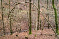 IMG_1499.jpg IMG_1499.jpg