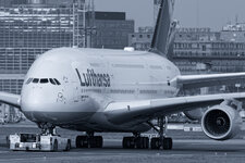 IMG_2143-01.jpg