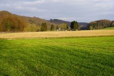 DSC00425_Forum.jpg