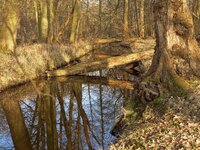 Moenchbruch_IMG_5947_DxO_jiw.jpg Moenchbruch_IMG_5947_DxO_jiw.jpg