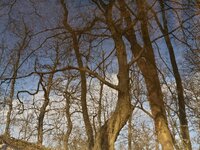 Moenchbruch_IMG_5946_DxO_jiw.jpg Moenchbruch_IMG_5946_DxO_jiw.jpg