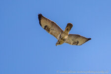 A27O4304-1.jpg