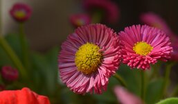 comp_U65_7172.jpg