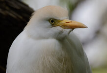 400 100%.jpg 400 100%.jpg