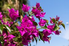 IMG_1384_24_09_2011_14_44_24.jpg