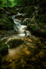 MOSS - FLUSS 02.jpg