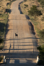 20160210_070652_namibia.jpg