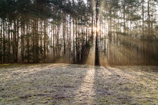 IMG_1793.jpg IMG_1793.jpg