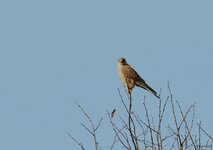 _DSC1800V2_Fotoblog.jpg
