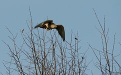 _DSC1804V2_Fotoblog.jpg