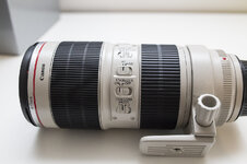 Canon-8740.jpg