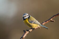 compIMG_9822.jpg