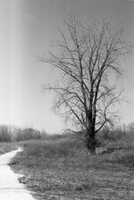 2016-04-04-0010.jpg 2016-04-04-0010.jpg