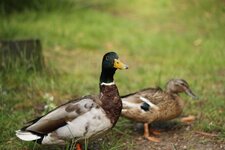 unbenannt (5 von 6).jpg
