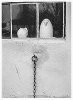 bw-2016-0121-03.jpg bw-2016-0121-03.jpg