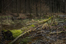 DSC5833.jpg DSC5833.jpg