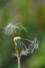 DSC_8348.JPG