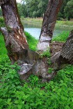 50_26016.jpg