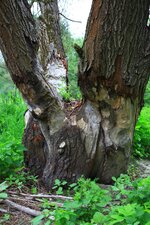 50_26027.jpg