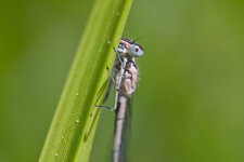 IMG_9656.jpg