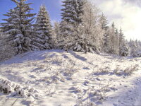 IMG_0001_1.jpg