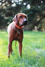 Sonnentag Teil 3 038.JPG