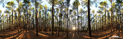 p_00859.jpg p_00859.jpg